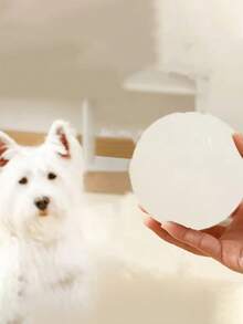 Jumping Balls That Glow At Night Pet Supplies TPR Dog Relief Toys Teething Luminous Dog Toys Balls Bite Resistant Dog Training Toy Night