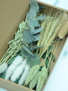 DIY干花套装，包含天然色调和桉树叶，可用于制作DIY干花束、干花花环（包含香蒲、芦苇、灯芯草）