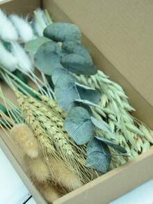 DIY干花套装，包含天然色调和桉树叶，可用于制作DIY干花束、干花花环（包含香蒲、芦苇、灯芯草）