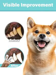GJYC PET Hunde Zahnpflege Tücher - Katzen & Hunde Zähne Reinigungs-Fingertücher - Hunde Zahnpflege Set Dental Tücher - Reinigt Zähne, reduziert Zahnstein & erfrischt den Atem (20 Stücke)