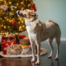 Elegante collar de perro con pequeña cola para Navidad, collar de mascota suave y ajustable para perros en época festiva