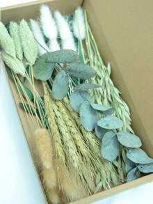 DIY干花套装，包含天然色调和桉树叶，可用于制作DIY干花束、干花花环（包含香蒲、芦苇、灯芯草）