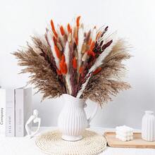 38/50/80 件天然优质蒲苇装饰 - 干藤花，适用于家庭、婚礼、活动和节日装饰（圣诞节、万圣节、复活节、感恩节）、秋季装饰、秋季