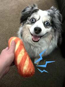 1 Stück/2 Stück Plüsch Cartoon Brot geformte Hunde Puppe, interaktive realistische Brot Haustier Puppe, strapazierfähiges Plüschmaterial, lustige Plüschpuppe, Langeweile vertreiben, geeignet für kleine, mittlere und große Hunde und Katzen. Süße Brot geformte quietschende Hunde Kau Puppe - Weich & strapazierfähig Welpen und kleine Hunde Beißspielzeug - Interaktives Leckerchen Spielzeug - Verschiedenfarbig - Übersicht 5