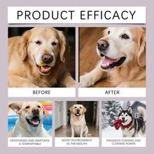 Pet Teeth Cleaning Pen, Gentle Formula For Daily Dental Care, Cleans And Freshens Pet's Teeth