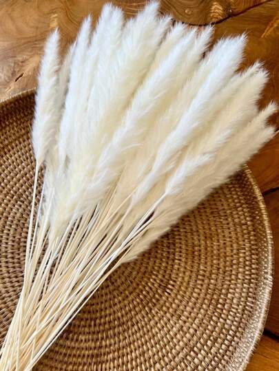 15/30/45/60pcs White Pampas Grass, White Mini Reed, Natural Dried Pampas Grass Branches Decor, Suitable For Home, Kitchen, Garden, Party, Home Decoration And Gifts