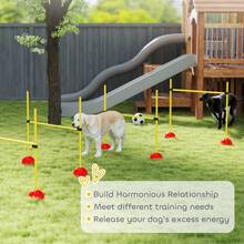 PawHut 4-Piece Dog Agility Equipment With 4 Hurdle Bars, For Training - Yellow - View 8