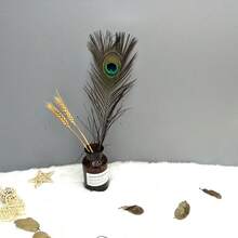 High Quality Natural Peacock Feathers 25-30cm Home Decoration Long Feather Vase Flower Arrangement Decoration Peacock Feathers - Green - View 7