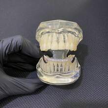 Grills For Your Teeth Gold Grills For Teeth Hip-Hop Higer Tooth With Zirconia Decoration Hip-Hop Jewelry Gift - Bạc - Xem 5