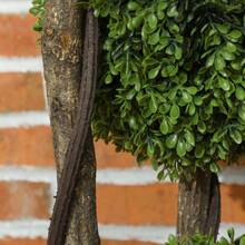 Artificial Shrubs - 1 - View 8