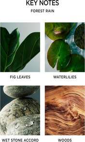 NEST New York Scented Votive Candle, Bamboo - 2 Oz - Up To 28-Hour Burn Time - Reusable Glass Vessel - MàuD - Xem 3