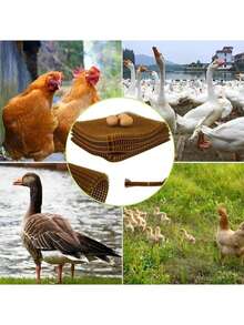 6pcs Washable Chicken Nest Pads, Plastic Poultry Egg Laying Mats, Suitable For Chickens & Ducks, Reusable, Anti-Slip & Breathable Hen House Bedding