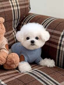 1pc Pet Sweatshirt For Autumn/Winter, Comfortable Versatile Dog/Cat Base Layer, Suitable For Yorkshire Terrier, Pomeranian, Maltese, Chihuahua, Russian Blue And Other Medium/Small Cats & Dogs, For Indoor And Outdoor Wear - Multicolor - View 11