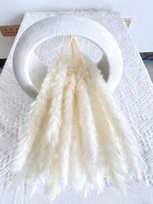 15/30/45/60pcs White Pampas Grass, White Mini Reed, Natural Dried Pampas Grass Branches Decor, Suitable For Home, Kitchen, Garden, Party, Home Decoration And Gifts