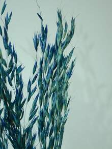 Decoración de hogar con plantas secas, adecuado para varias escenas - Azul oscuro - Ver 4