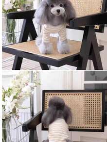 1pc Apricot Striped Pet Dog Clothes, Four-Leg Undershirt, Anti-Shedding, Casual & Cute, Comfortable, Suitable For Small Dogs & Cats, All Seasons