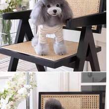 1 pieza Ropa para mascotas, Camiseta interior casual y linda a rayas en color albaricoque con 4 patas, anti-pelos, adecuada para gatos y perros pequeños, para todas las estaciones