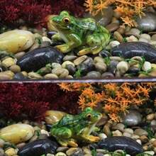 Escultura de rana de resina - Figura decorativa para mesas del hogar y jardín, adorno de escritorio coleccionable con diseño artístico