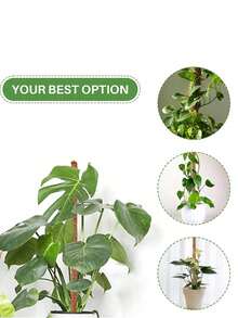 1 pezzo Palo di muschio in fibra di cocco per piante Monstera, supporto flessibile per piante, sostegni per piante da interno, palo di supporto in fibra di cocco per piante, palo di muschio Monstera per la crescita di piante rampicanti