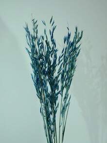 Decoración de hogar con plantas secas, adecuado para varias escenas - Azul oscuro - Ver 5