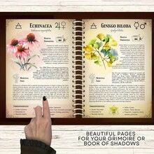 1 Herbal Handbook Study Planner - A5 Spiral Notebook With Botanical Illustrations, Healing Properties And Magical Uses Of Herbs, And Plant Correspondences - A Must-Have Guide For Herbal Enthusiasts, Holistic Therapists, And Natural Healers, With High-Quality Paper And Artistic Cover Reference Manual For Nature Lovers