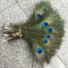 High Quality Natural Peacock Feathers 25-30cm Home Decoration Long Feather Vase Flower Arrangement Decoration Peacock Feathers - Green - View 5