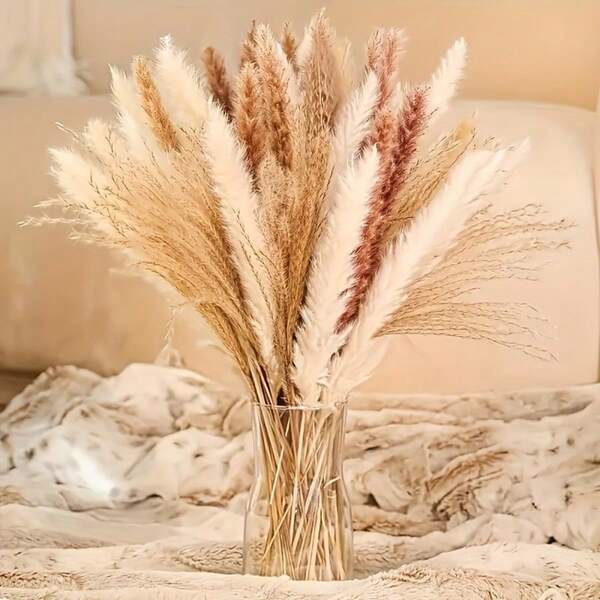 Decoración de pasto pampas seco, 86 tallos de pasto pampas que contienen colas de conejo, flores secas, ramo de hierba de junco para boda, flores bohemias, decoración de mesa del hogar, fiesta rústica de granja (17", blanco y marrón)