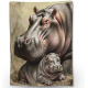 Hippo23