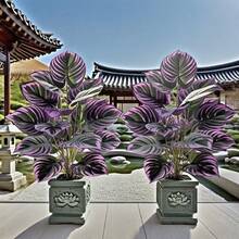 1pcs Outdoor Artificial Green Plants, Villa Courtyard Garden Decor Outdoor & Home Office Decoration, Perfect For Christmas, Halloween, Palm Festival & Valentine's Day - Pot Not Included - Purple - View 5