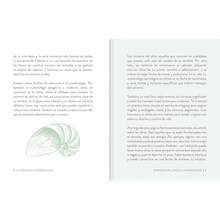 La magia de la numerología - Libro único - Ver 3