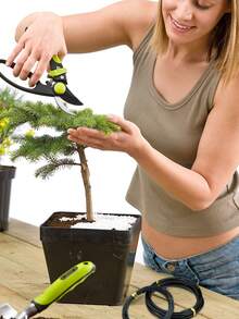 1卷盆景树线，植物支撑盆景训练线，阳极氧化铝盆景训练线，（10米/32.8英尺） - 黑色 - 查看 3