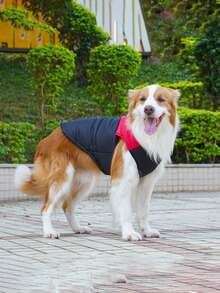 Chaqueta para mascotas nueva para otoño e invierno con chaleco con cremallera para mantener el calor, cuello de color contrastante, cierre a presión de moda, adecuado para perros de tiro. Chaqueta y ropa exterior para mascotas adecuada para todas las razas, ideal para aventuras al aire libre con su mascota. Artículos esenciales y necesidades para cachorros para caminar y hacer senderismo.
