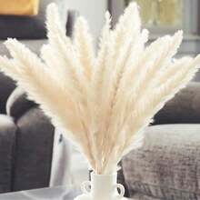 15/30/45/60pcs White Pampas Grass, White Mini Reed, Natural Dried Pampas Grass Branches Decor, Suitable For Home, Kitchen, Garden, Party, Home Decoration And Gifts