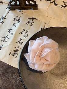 1 Stück Gaze-Rosen Clip, hochwertige Temperamentvolle und einfache Art, mit einer Haarklammer, Haarkarte, Haaraccessoires, Kopfschmuck, neuer Stil, Herbst, Haaraccessoires, Reisen, Frauen, Haarpflege, Harzeug, Zeug, Schönheitszubehör, Geschenke, Reisen, Geschenke für Frauen, Harzeug, Strumpfstopfer