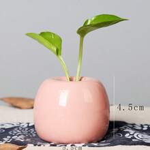 Mini Ceramic Round Flower Vase, Fresh And Stylish Floral Container, Hydroponics Vase Decor For Home, Living Room Flower Arrangement - Multicolor - View 6