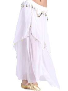 Women Belly Dance Long Skirt With Coin Chiffon Belly Dance Costume Multi-Layer Skirt Party Festival Dance Performance Costume