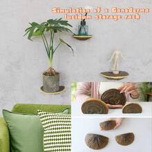 Juego de estantes de almacenamiento de Lingzhi de resina (3 piezas, estante colgante de pared de estilo artístico decorativo de Lingzhi, adecuado para contenedores de vidrio en el dormitorio, soporte suspendido para decoración de pared en rincones, tema natural al aire libre, decoración de festivales en paredes, puede sostener artículos, adecuado para geckos y mascotas trepadoras, decoración de plantas en miniatura de hongos de jardín al aire libre)