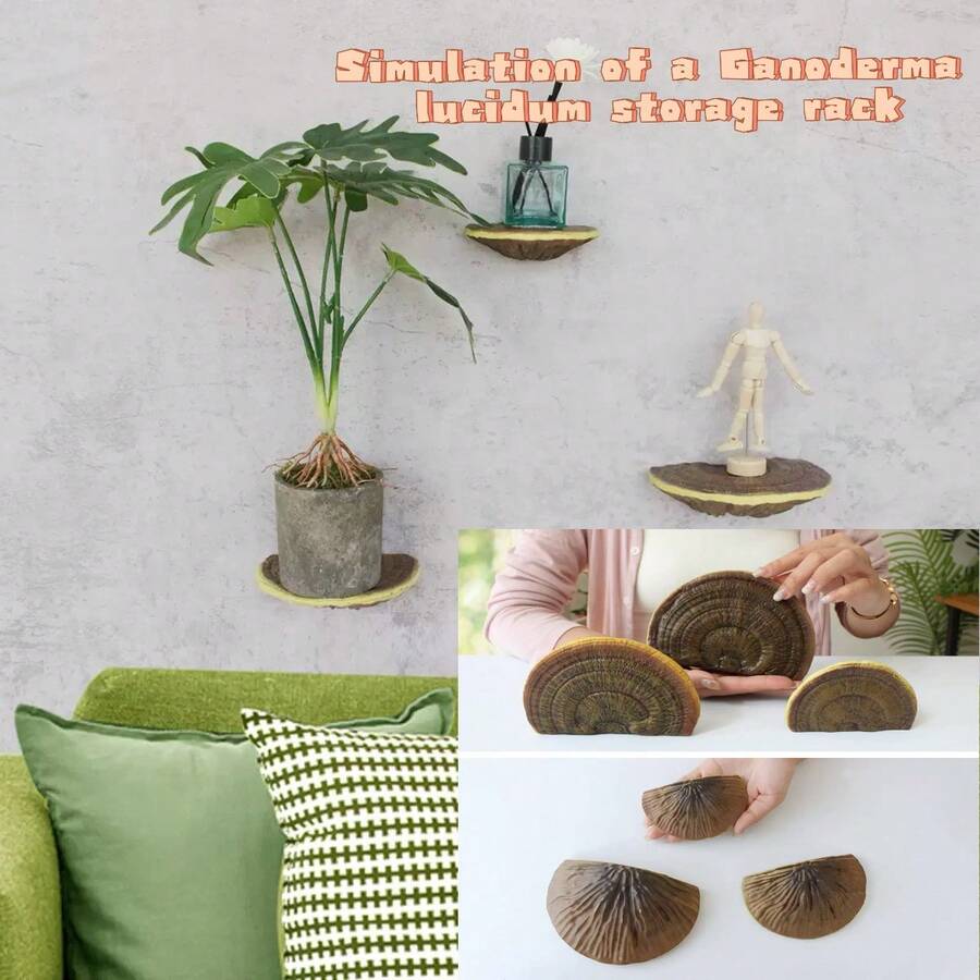 Juego de estantes de almacenamiento de Lingzhi de resina (3 piezas, estante colgante de pared de estilo artístico decorativo de Lingzhi, adecuado para contenedores de vidrio en el dormitorio, soporte suspendido para decoración de pared en rincones, tema natural al aire libre, decoración de festivales en paredes, puede sostener artículos, adecuado para geckos y mascotas trepadoras, decoración de plantas en miniatura de hongos de jardín al aire libre)