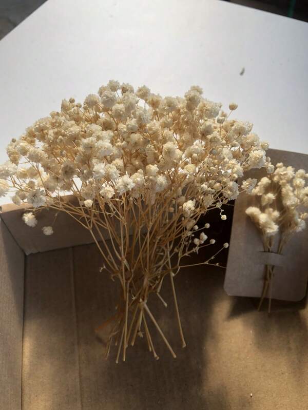 50/100/300pcs Natural Dried Baby's Breath Flowers - Elegant Preserved Baby's Breath, Suitable For Home, Office, Wedding, Christmas, Halloween Party, Handicrafts - , Maintenance-Free, Suitable For Ages 14+ (No Paper Card)