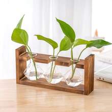 1pc Hydroponic Plant Glass Bulb Vase With Wooden Stand, Indoor Hydroponic Plant Breeding Station, Suitable For Home, Office, Garden Decor, Gift For Plant Lovers, Vase, Centerpiece, Tabletop Decor