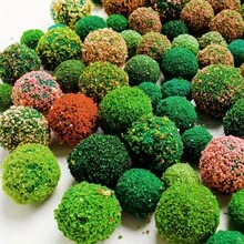 30 pezzi di alberi e cespugli misti, modelli di vegetazione in miniatura, gruppi di arbusti per modellismo ferroviario, accessori per ferrovia, mini alberi per artigianato e diorami