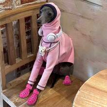 4pcs/Set Fashionable Pet Dog Shoes - Dog Supplies, Breathable, Anti-Dirty, Non-Slip, Elastic, Soft Sole Pet Dog Shoes Suitable For All Seasons To Protect Paws And Keep Dogs Happy, Pet Puppy Care