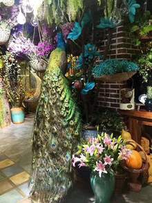 High Quality Natural Peacock Feathers 25-30cm Home Decoration Long Feather Vase Flower Arrangement Decoration Peacock Feathers - Green - View 3