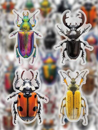 50 szt. naklejek z motywem encyklopedii chrząszczy, materiał PET do identyfikacji przyrody, wzory owadów, do dekoracji biurka, butelki z wodą i bagażu, kreatywne naklejki