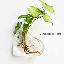 1PC Transparent Wall Hanging Planter, Green Orchid Planter With Patch, Rustic Style Simple Wall Planter, Hydroponic Wall-Mounted Fish Tank Creative Wall Decorations, Living Room Dining Room Bedroom Wall Hangings