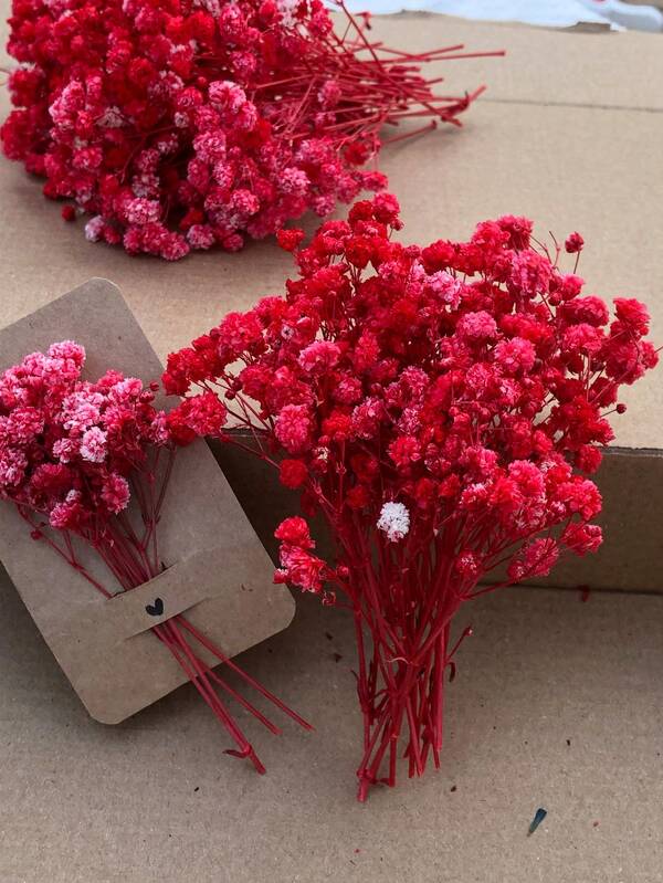 50/100/300 peças de flores naturais secas de hálito de bebê - Hálito de bebê elegante e preservado, adequado para casa, escritório, casamento, Natal, festa de Halloween, artesanato sem necessidade de manutenção, adequado para maiores de 14 anos (sem papel cartão)