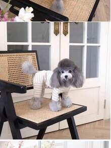 1pc Apricot Striped Pet Dog Clothes, Four-Leg Undershirt, Anti-Shedding, Casual & Cute, Comfortable, Suitable For Small Dogs & Cats, All Seasons