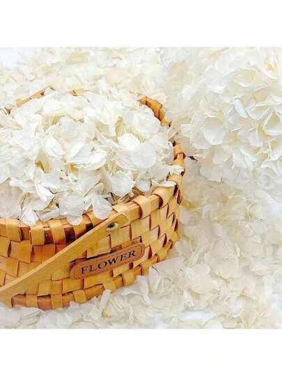 0,35oz/0,7oz/1oz Elfenbeinweiße getrocknete Hortensienblüten für Hochzeit, Party, Konfetti, Valentinstag, Blumenmädchenkorb, romantische Nacht, Heiratsantrag Dekoration, Handwerkskunst