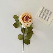 2 pièces/3 pièces/7 pièces/6 pièces/9 pièces Roses artificielles flamboyantes, fleurs de simulation, rose corail, décoration de la fête des mères, décoration de la saison des mariages, décoration de la saison des remises de diplômes, décoration de dîner aux chandelles, décoration de dortoir scolaire et de bureau, décoration de fête extérieure, fête d'anniversaire, décoration d'entrée de maison, d'hôtel, de restaurant, de chambre à coucher, de banquet de mariage, de cuisine, de jardin, décoration pour toutes les saisons