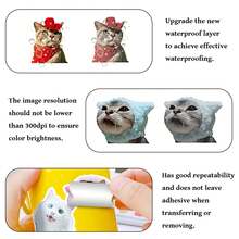 50pcs Cat Stickers Cute Animal Pet Stickers Waterproof Cartoon Vinyl Decals Kawaii Sticker Party Favors & Gifts For Boy Girl Adults Water Bottle Laptop Luggage Phone Snowboard Guitar Scrapbook